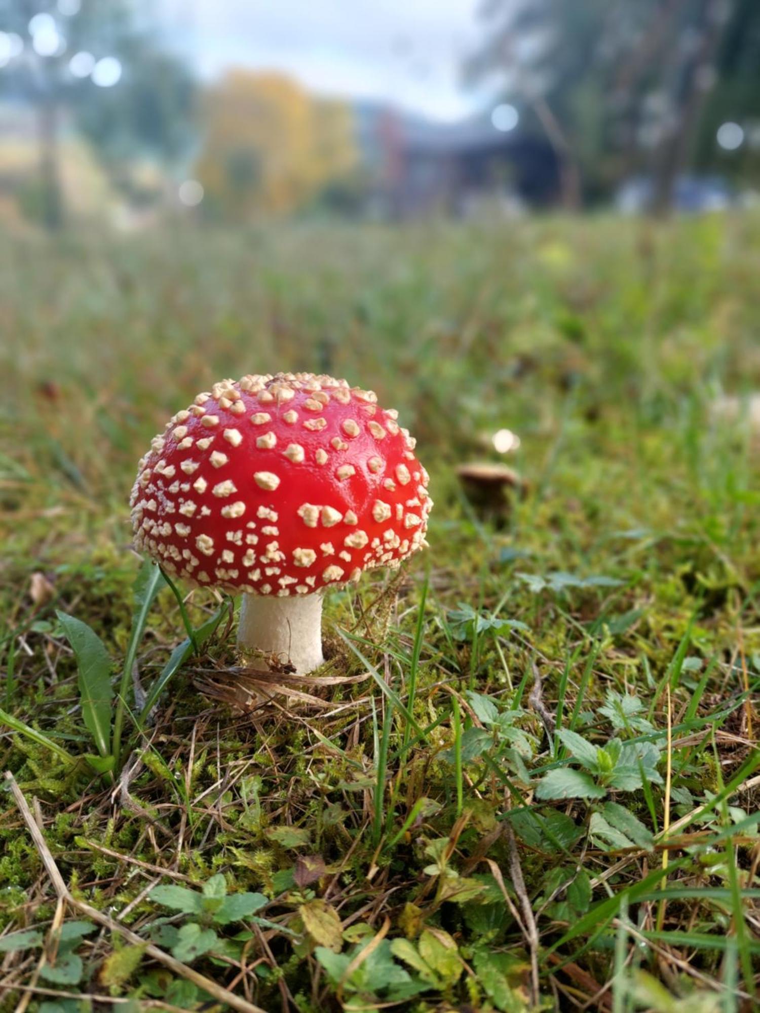 Chata Na Samote, Sumava Vrhavec Zewnętrze zdjęcie