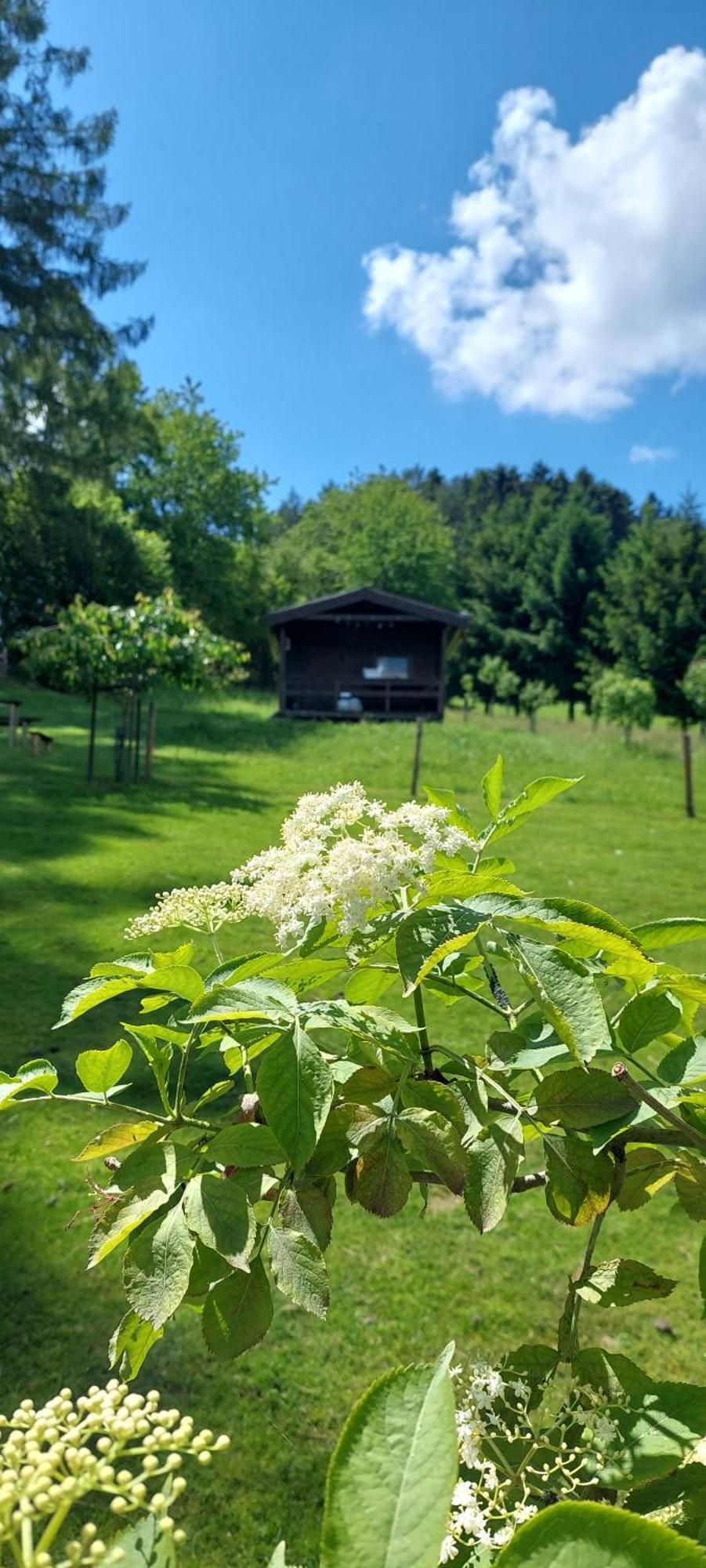Chata Na Samote, Sumava Vrhavec Zewnętrze zdjęcie