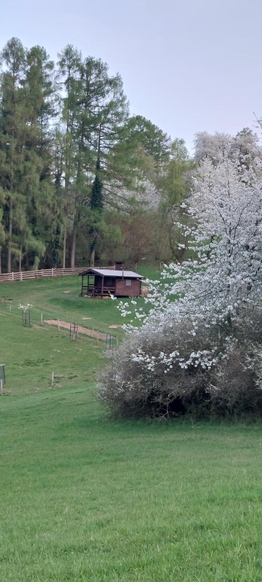 Chata Na Samote, Sumava Vrhavec Zewnętrze zdjęcie