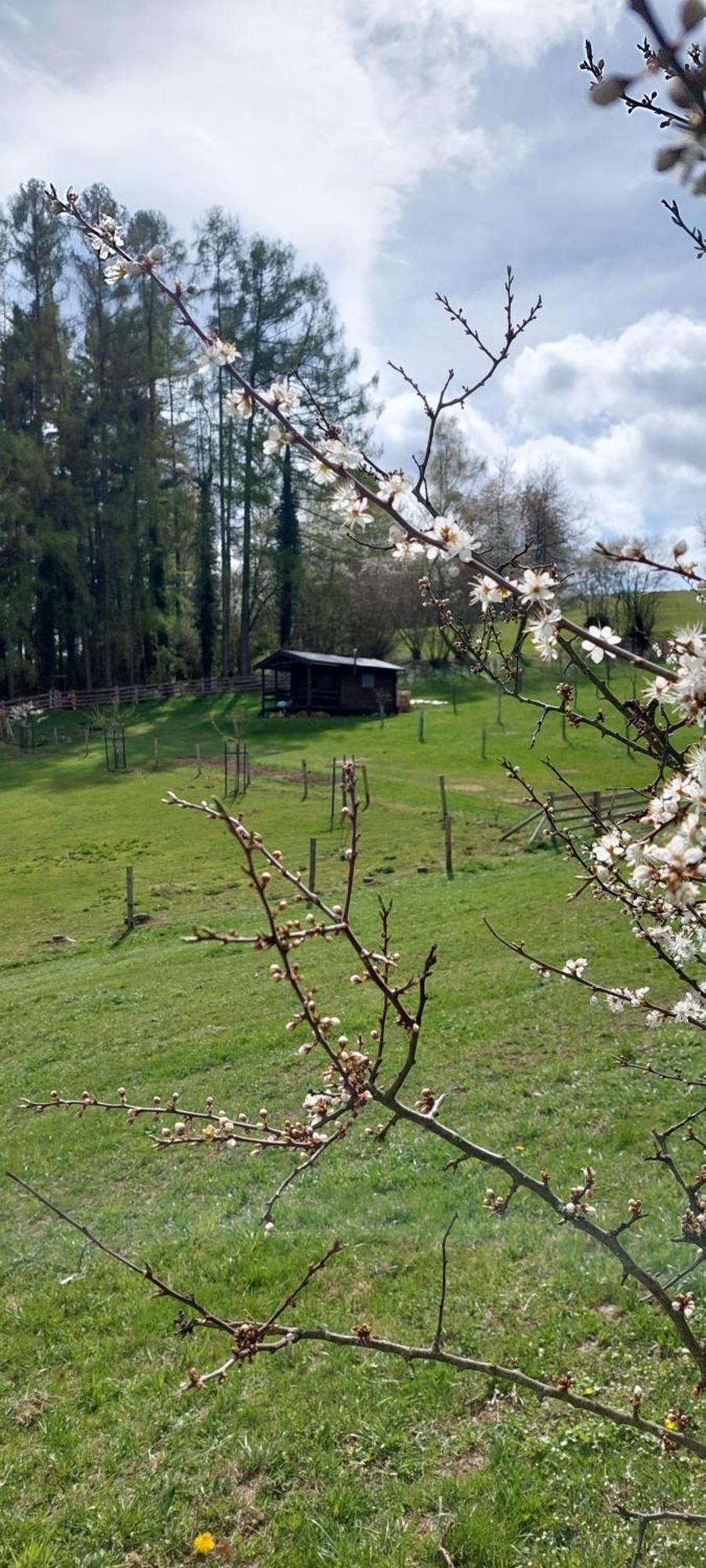 Chata Na Samote, Sumava Vrhavec Zewnętrze zdjęcie